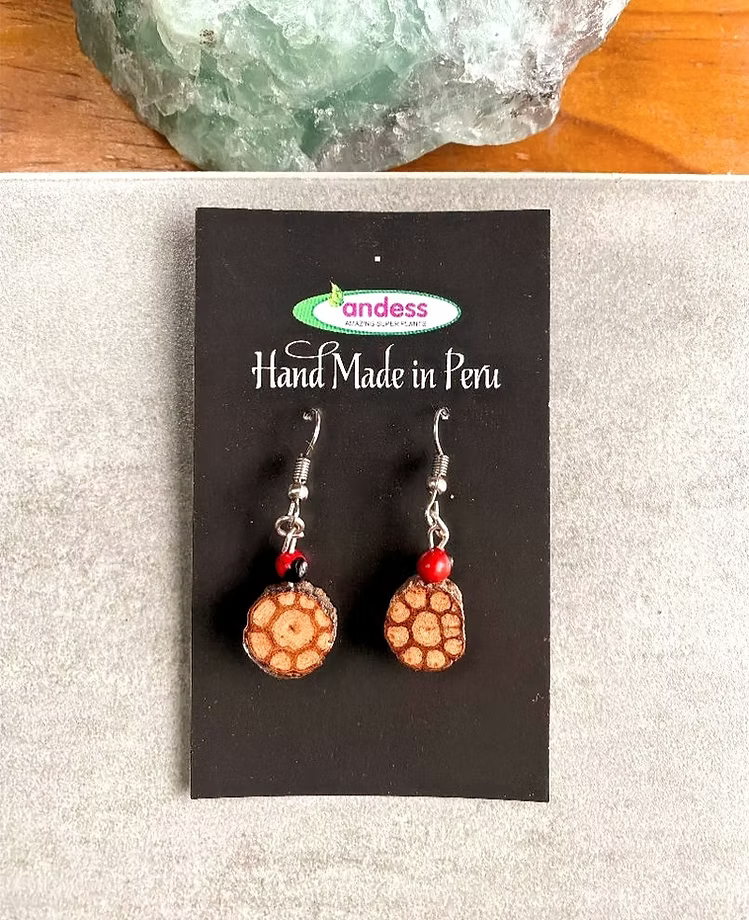 Ayahuasca Sacred Vine and Huayruro Evil Eye Seeds Shipibo Earrings