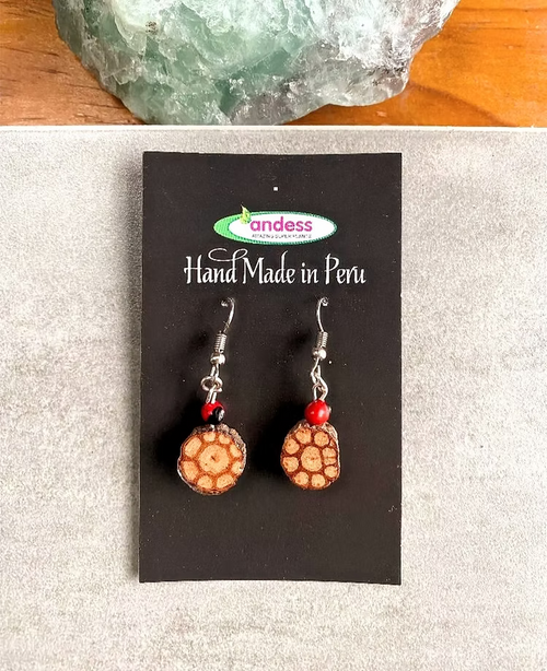 Ayahuasca Sacred Vine and Huayruro Evil Eye Seeds Shipibo Earrings