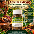 Sacred Cacao Amazonian Plant Medicine Sacred Gift 8g