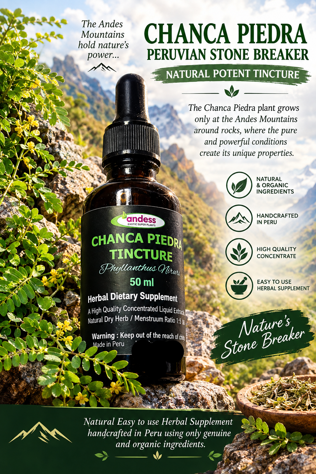 Chanca Piedra Phyllanthus Niruri Tincture 50ml, Natural Stone Breaker