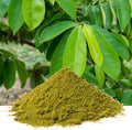 Soursop Graviola Rainforest Leaf Powder Natural Health 50g