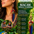 2 Evil Eye Protection New Opportunities Macaw Handcrafted Earrings Pair