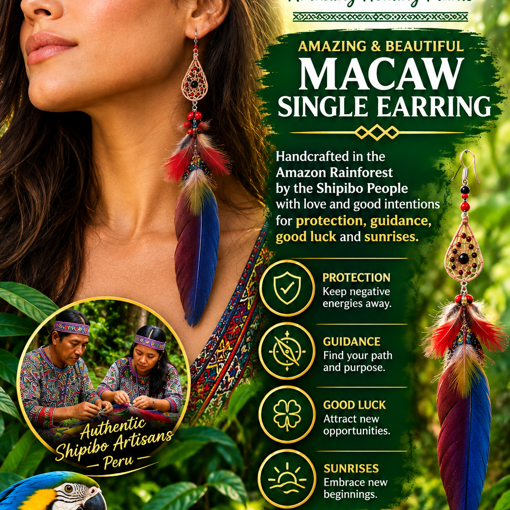 2 Evil Eye Protection New Opportunities Macaw Handcrafted Earrings Pair