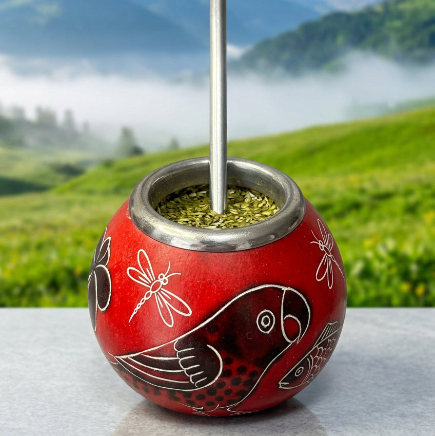 Mate Gourd and Bombilla Set, Cup and Straw to drink yerba mate