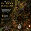 Sacred Ceremony AYA Pendant with Plant Medicine and Healing Stones