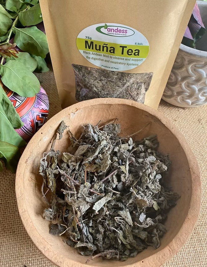 Muña Black Andean Mint Potent Natural herbal tea For Energy 50g