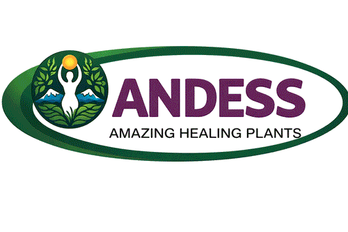 ANDESS logo