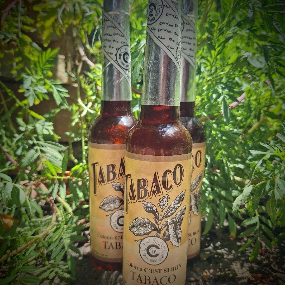Tabaco Plant Medicine Banishing & Domination Cologne 220ml