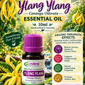 Ylang Ylang Cananga Odorata Essential Oil 10ml