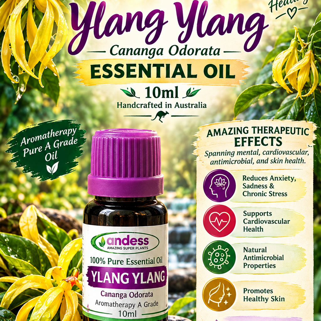 Ylang Ylang Cananga Odorata Essential Oil 10ml