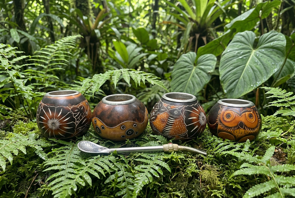 Mate Gourd and Bombilla Set, Cup and Straw to drink yerba mate 160ml