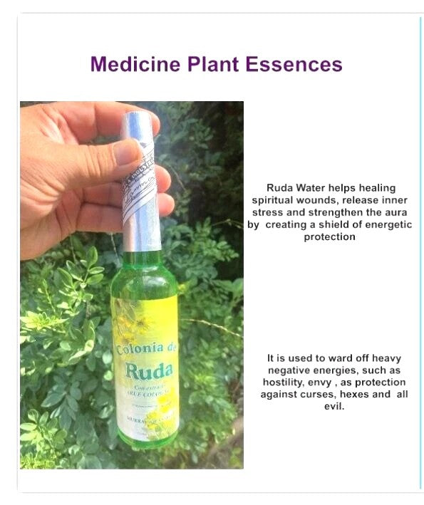 Rue Cologne Colonia de Ruda to heal spiritual wounds 221ml